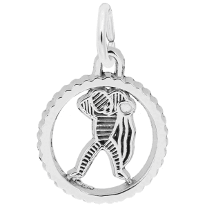 Aquarius Charm