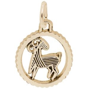Capricorn Charm