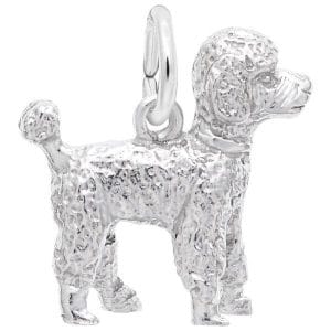 POODLE