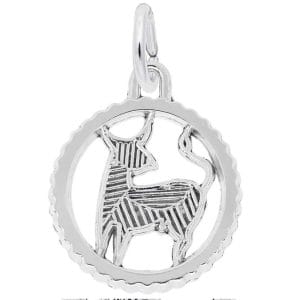 Taurus Charm