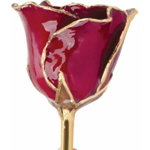 Deep Red Rose-January