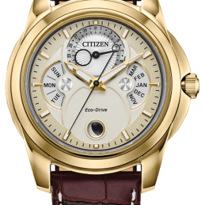 Citizen Calendrier Watch
