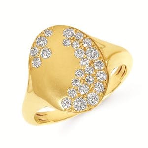 Signet Sprinkle Ring