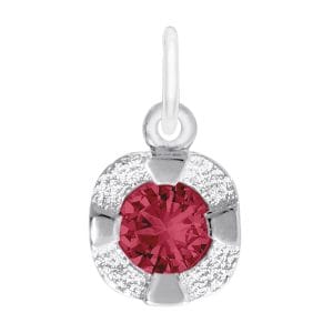 Petite Birthstone Charm-January