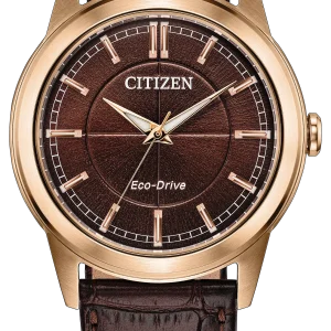 Citizen Rolan Eco-Drive Watch