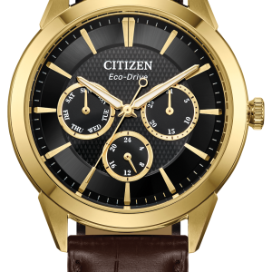 Citizen Rolan Eco-Drive Watch