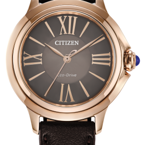 Citizen Ceci Eco-Drive Watch